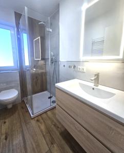 Ένα μπάνιο στο Ferienwohnung Gipfelstürmer