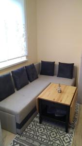 a living room with a couch and a coffee table at Apartament Sofia in Sofia