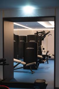 Das Fitnesscenter und/oder die Fitnesseinrichtungen in der Unterkunft Almanac Palais Vienna