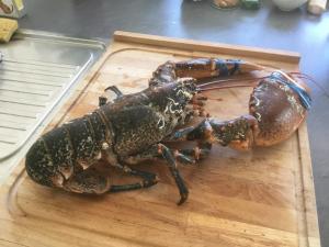 a lobster on a cutting board on a table at Soizic' house in Trébeurden