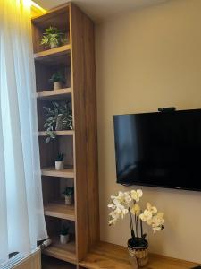 تلفاز و/أو أجهزة ترفيهية في Šumska staza Divčibare apartmani