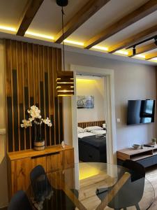 تلفاز و/أو أجهزة ترفيهية في Šumska staza Divčibare apartmani
