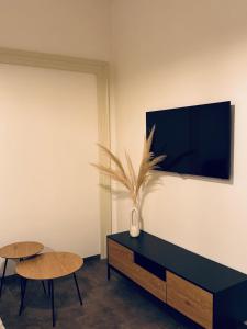 TV a/nebo společenská místnost v ubytování Pearl Bee Deluxe Suites