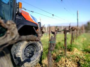 Φωτογραφία από το άλμπουμ του Wild Agriturismo Podere della Bruciata σε Chiusi