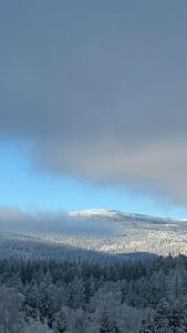 Vista general de una montaña o vista desde el hotel