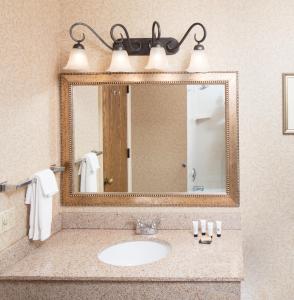 a bathroom with a sink and a mirror at Red Lion Hotel Eureka in Eureka