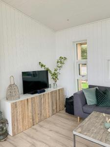 TV a/nebo společenská místnost v ubytování Cabin With Oslofjord View At Jeløya