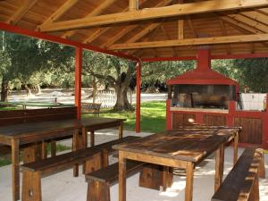a pavilion with wooden tables and a grill in a park at Ferouli Residence in Rizá