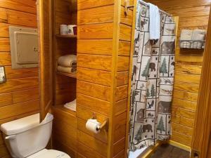加特林堡Gatlinburg Cabin Near Ripley's Aquarium的带厕所和淋浴的小浴室