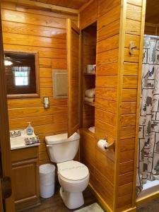 加特林堡Gatlinburg Cabin Near Ripley's Aquarium的带马桶和水槽的浴室