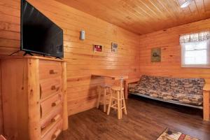 Gatlinburg Cabin Near Ripley's Aquarium的电视和/或娱乐中心