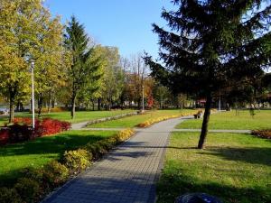 Vonkajšia záhrada v ubytovaní Hotel Krystyna