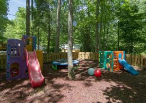 Relax in a Mountain Cabin in the Smokies, Gatlinburg的儿童游玩区