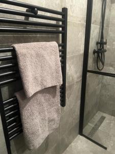 Koupelna v ubytování Appartement Brussels Expo