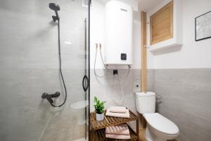 a bathroom with a shower with a toilet and a sink at Motlawa River Apartment in Gdańsk +19 photos