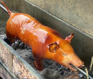 a red pig in a concrete trough at Bac Son Homestay in Bắc Sơn