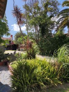 Zahrada ubytování Las Grullas