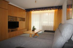 TV a/nebo společenská místnost v ubytování Appartements Gärtner