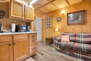 加特林堡1BR Cabin in the Smokies Close to Gatlinburg的带沙发和微波炉的客厅