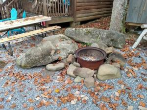 加特林堡1BR Cabin in the Smokies Close to Gatlinburg的相册照片