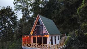 CayeliPukina Tiny House的一栋屋顶绿化、装有灯的小房子