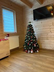 Televízia a/alebo spoločenská miestnosť v ubytovaní Wellness House Prague Pohádkový Ráj