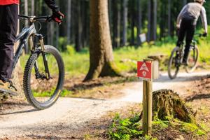two people riding bikes on a trail in the woods at Vejminek NMNM in Nové Město na Moravě