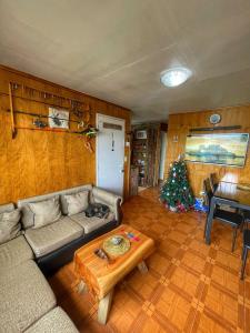 a living room with a couch and a christmas tree at Casa Natales - Dormitorio Privado in Puerto Natales