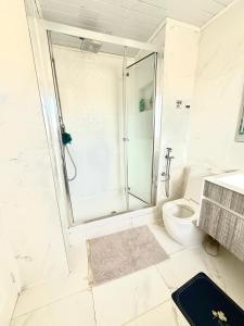 a bathroom with a shower and a toilet at Rose home in Haverhill