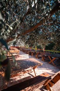 Fotografie z fotogalerie ubytování Lider Hotel v destinaci Ksamil