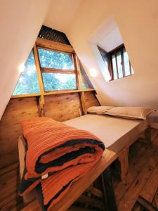 Φωτογραφία από το άλμπουμ του Natural villa Arusha σε Arusha