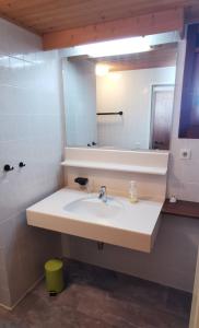 a bathroom with a sink and a mirror at Gemütliches Apartment - Kanzelhöhe - Gerlitzen in Treffen +8 photos
