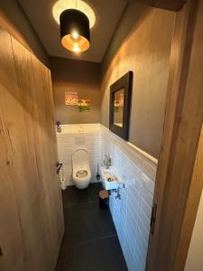 un baño con inodoro y lavabo en La Forteresse, en Borgloon