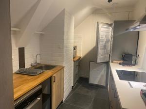 Una pequeña cocina con fregadero y refrigerador. en La Forteresse, en Borgloon 1 foto más