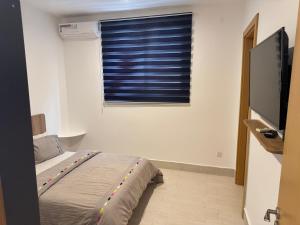 Μια τηλεόραση ή/και κέντρο ψυχαγωγίας στο Apartment with sea view