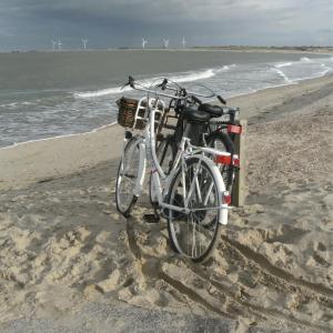 een fiets staat geparkeerd op het strand bij 7even in Vrouwenpolder