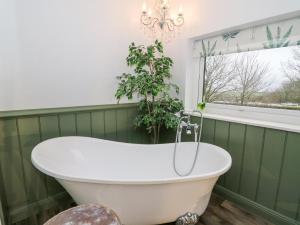 une baignoire dans une salle de bain verte avec une plante en pot dans l'établissement La Bastille, à Haverfordwest