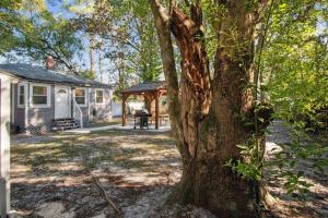 a house with a tree in front of it at Murray Hill Bungalow in Jacksonville