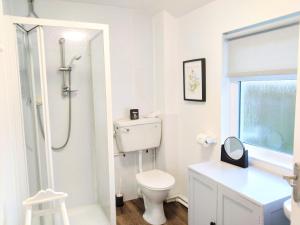 a white bathroom with a toilet and a shower at Waterwitch Cottage in Newquay +15 photos