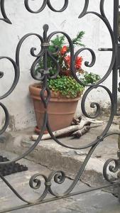 Ảnh trong thư viện ảnh của Casa San Cristoforo Atelier ở Maggia