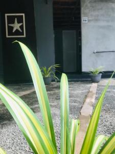 Foto sihtkohas Hiriketiya asuva majutusasutuse Memo's Inn galeriist
