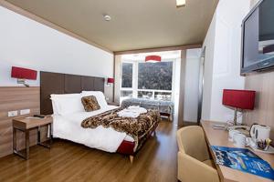 Voodi või voodid majutusasutuse TH Cadore - Hotel Antelao toas