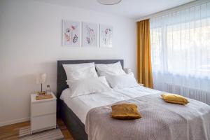 Basel, İsviçre'deki en iyi 10 daire | Booking.com