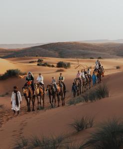 Hosté ubytování Tassili Luxury Desert Camp
