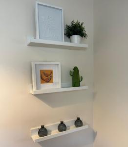 een muur met planken met vazen en een cactus bij Civic Heights in Newport