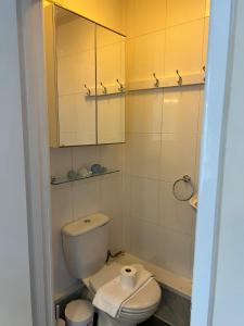 een badkamer met een wit toilet en een spiegel bij Civic Heights in Newport