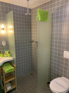 a bathroom with a shower with a toilet and a sink at Park-Hotel Leimen in Leimen
