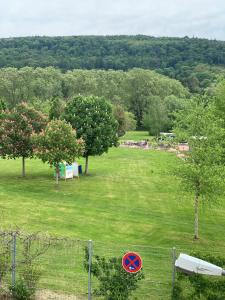 a frisbee on a fence in a field at Park-Hotel Leimen in Leimen +6 photos