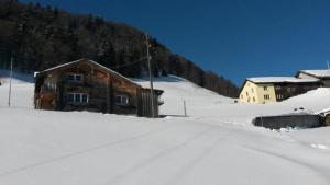 Фотография из галереи Fäsch в городе Флумзерберг +27 фотографий