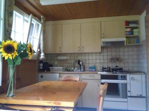 a kitchen with a table and a vase with a sunflower at Ferien Cottage Flüehblüemli in Stechelberg
